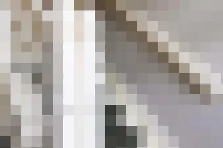 Bosweg 13 Apeldoorn thumbnail 35