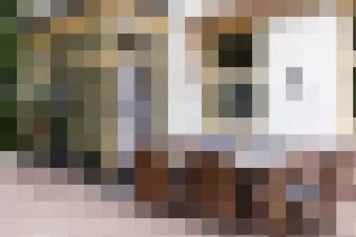 Bosweg 13 Apeldoorn thumbnail 43