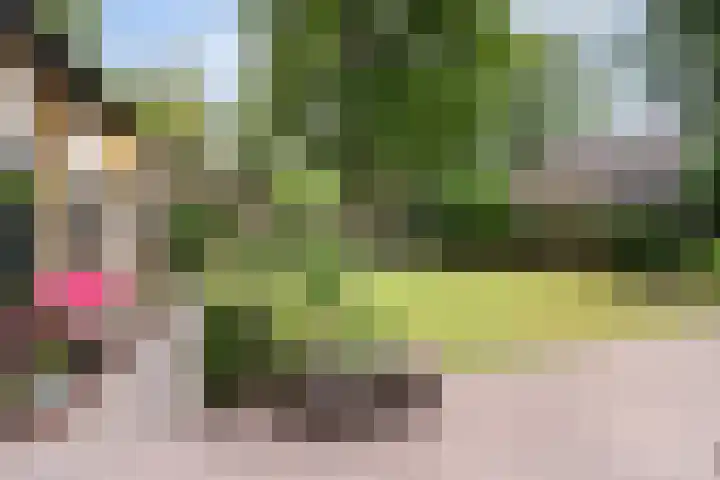 Bosweg 13 Apeldoorn thumbnail 44