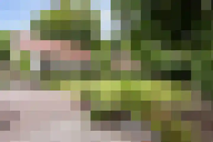 Bosweg 13 Apeldoorn thumbnail 45