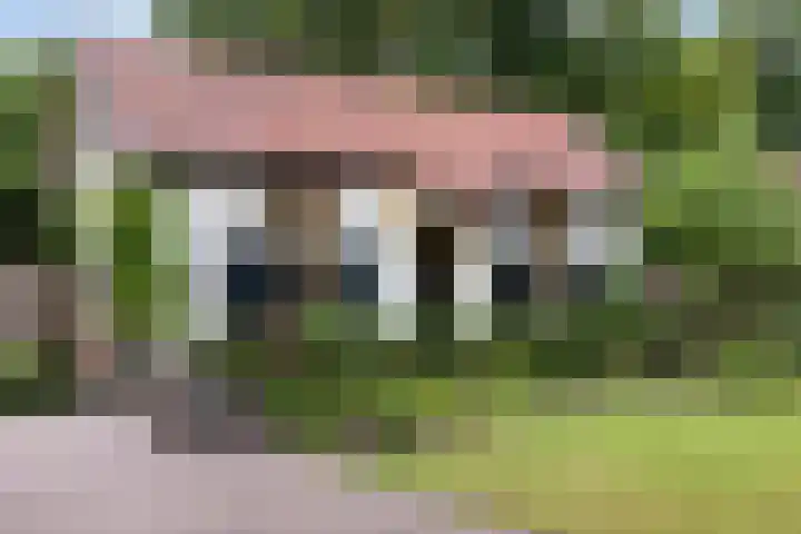 Bosweg 13 Apeldoorn thumbnail 46
