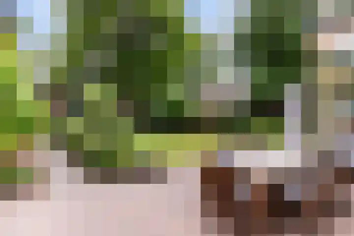 Bosweg 13 Apeldoorn thumbnail 48