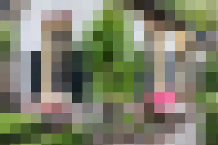 Bosweg 13 Apeldoorn thumbnail 49