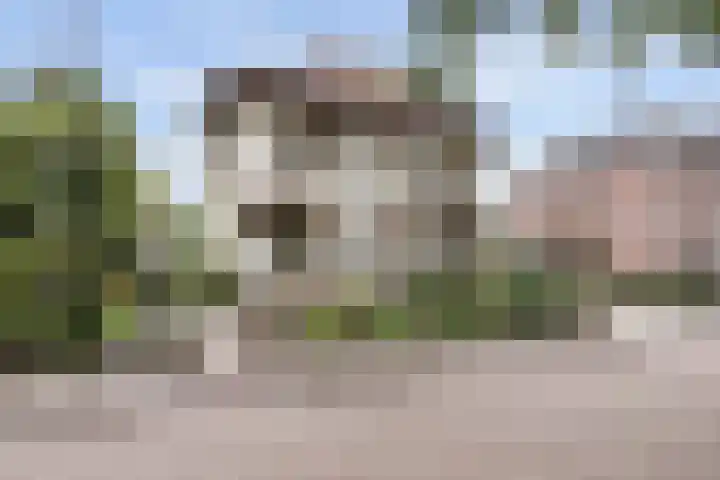Bosweg 13 Apeldoorn thumbnail 54