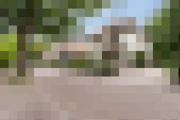 Bosweg 13 Apeldoorn thumbnail 55