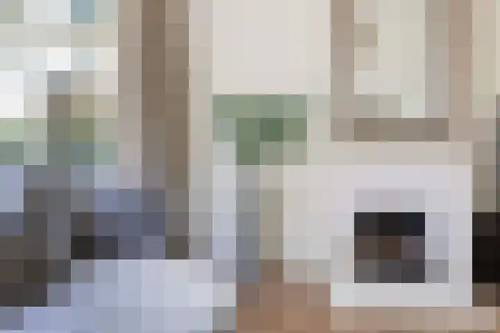 Bosweg 13 Apeldoorn thumbnail 6