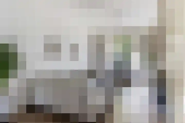 Bosweg 13 Apeldoorn thumbnail 8