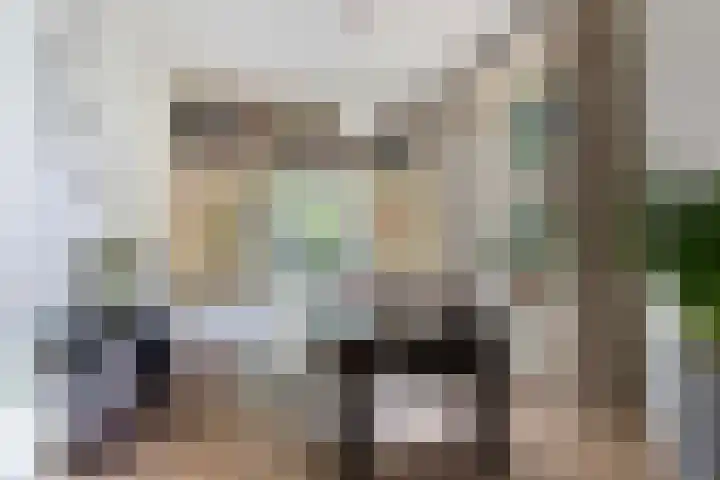 Bosweg 13 Apeldoorn thumbnail 9