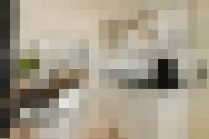 Bosweg 133 Gouda thumbnail 11