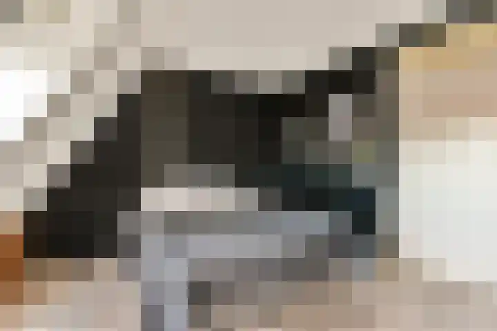 Bosweg 133 Gouda thumbnail 16