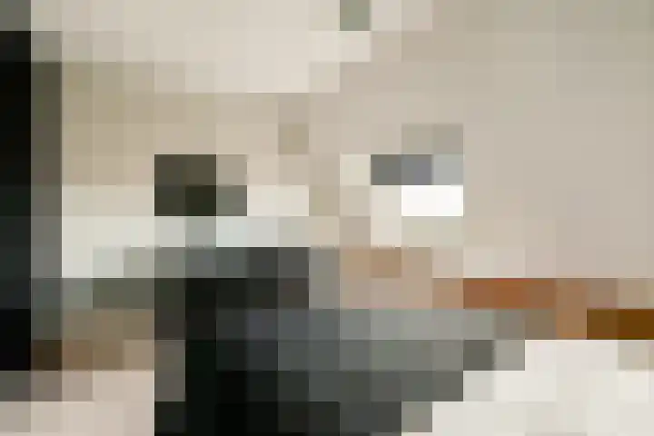 Bosweg 133 Gouda thumbnail 17