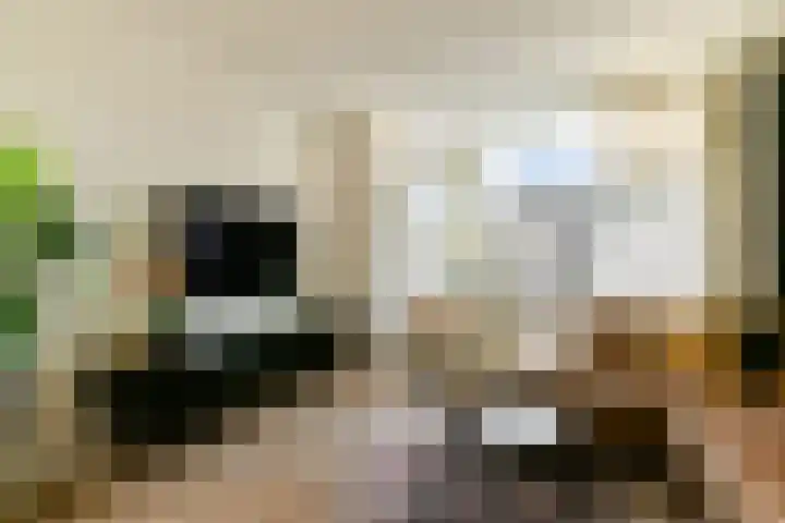 Bosweg 133 Gouda thumbnail 7