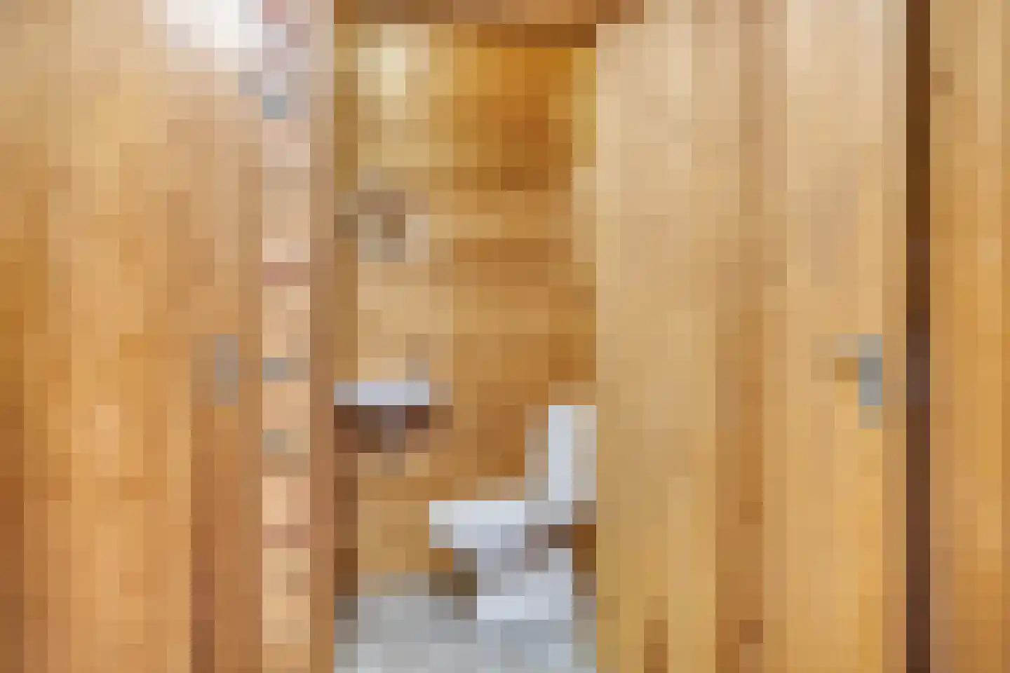 Bosweg 14 Barchem thumbnail 29