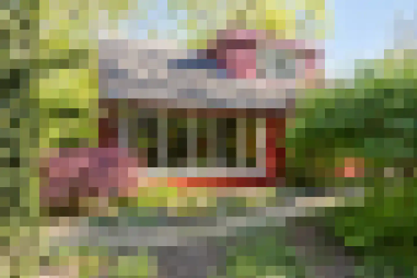 Bosweg 14 Barchem thumbnail 4
