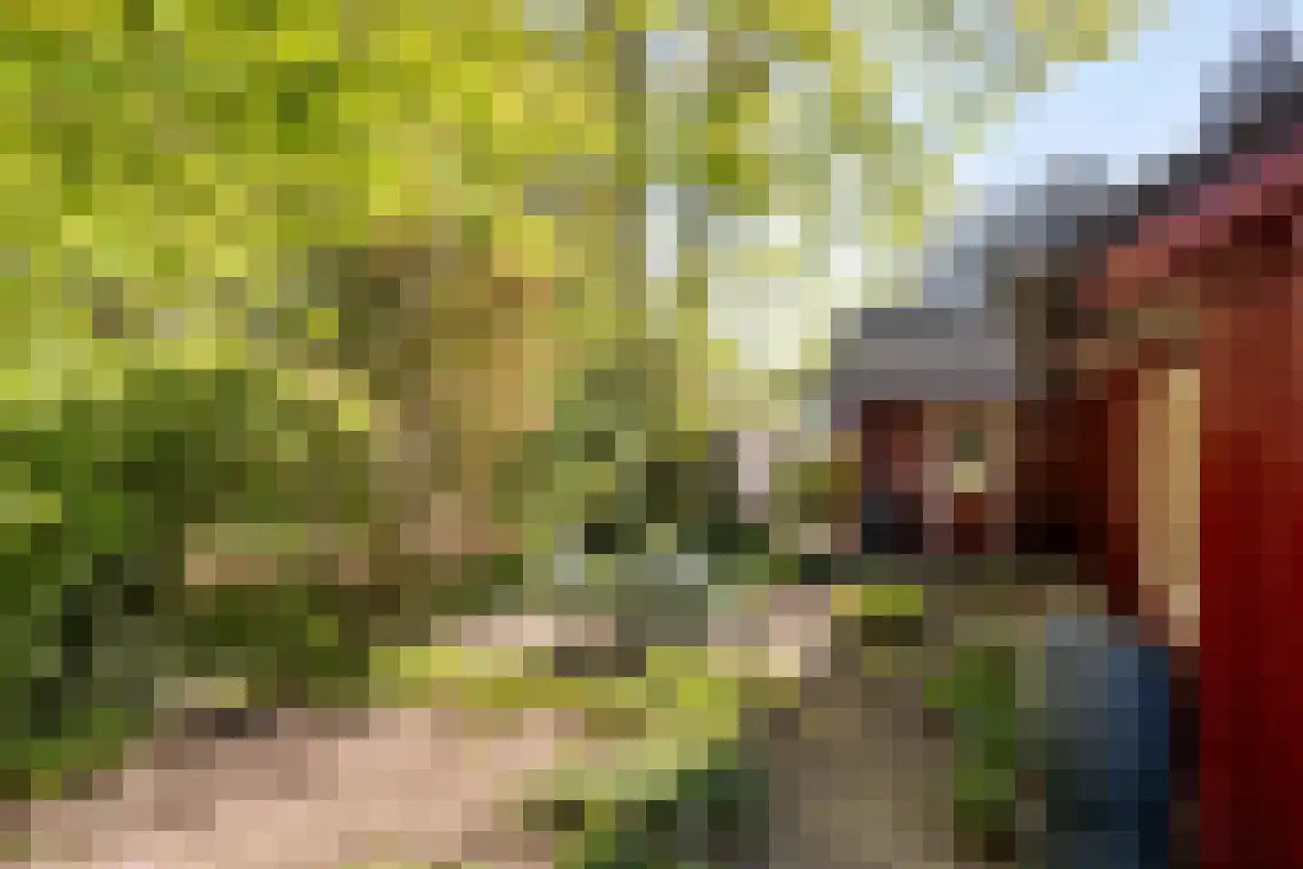 Bosweg 14 Barchem thumbnail 42