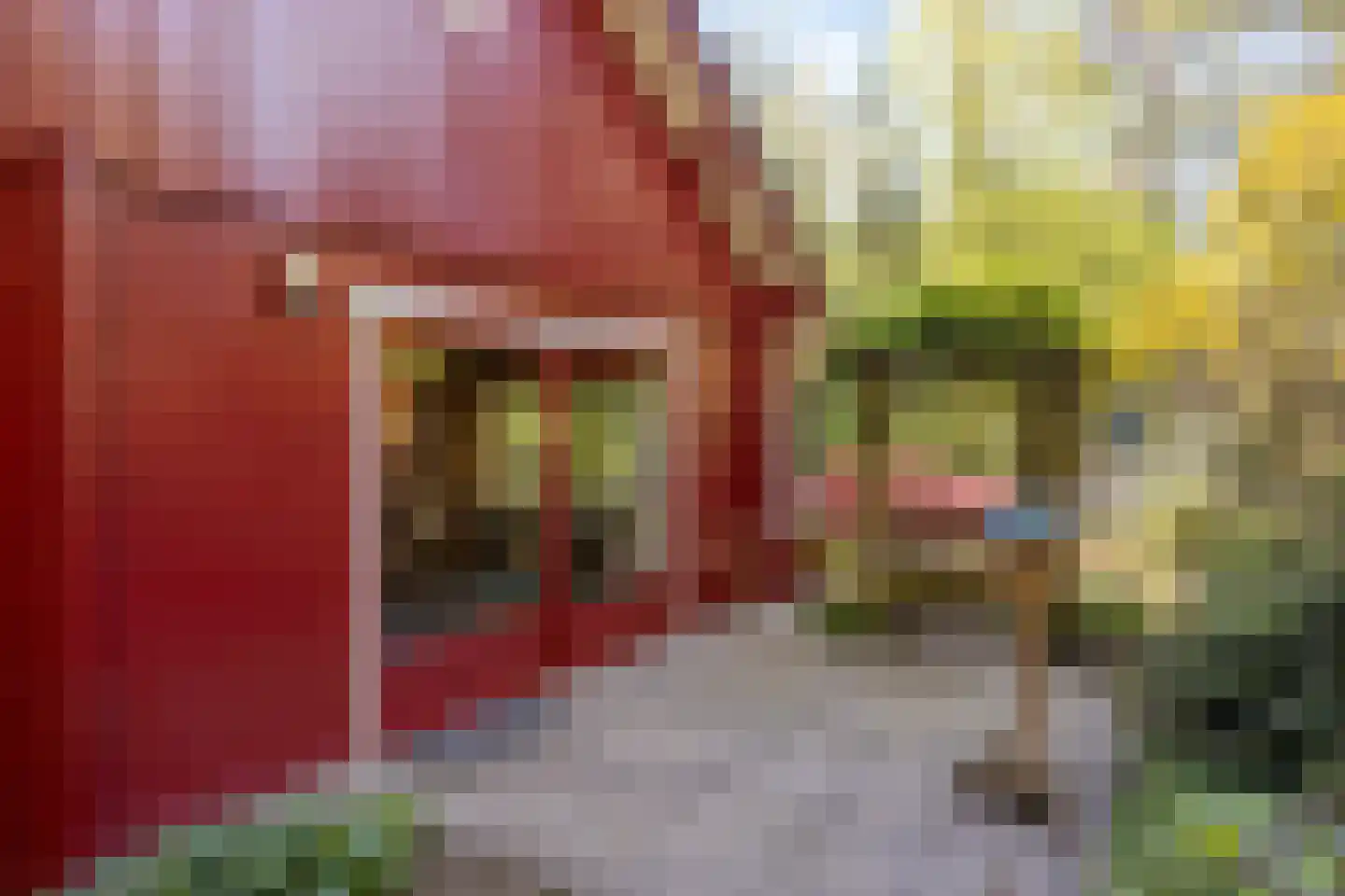 Bosweg 14 Barchem thumbnail 43