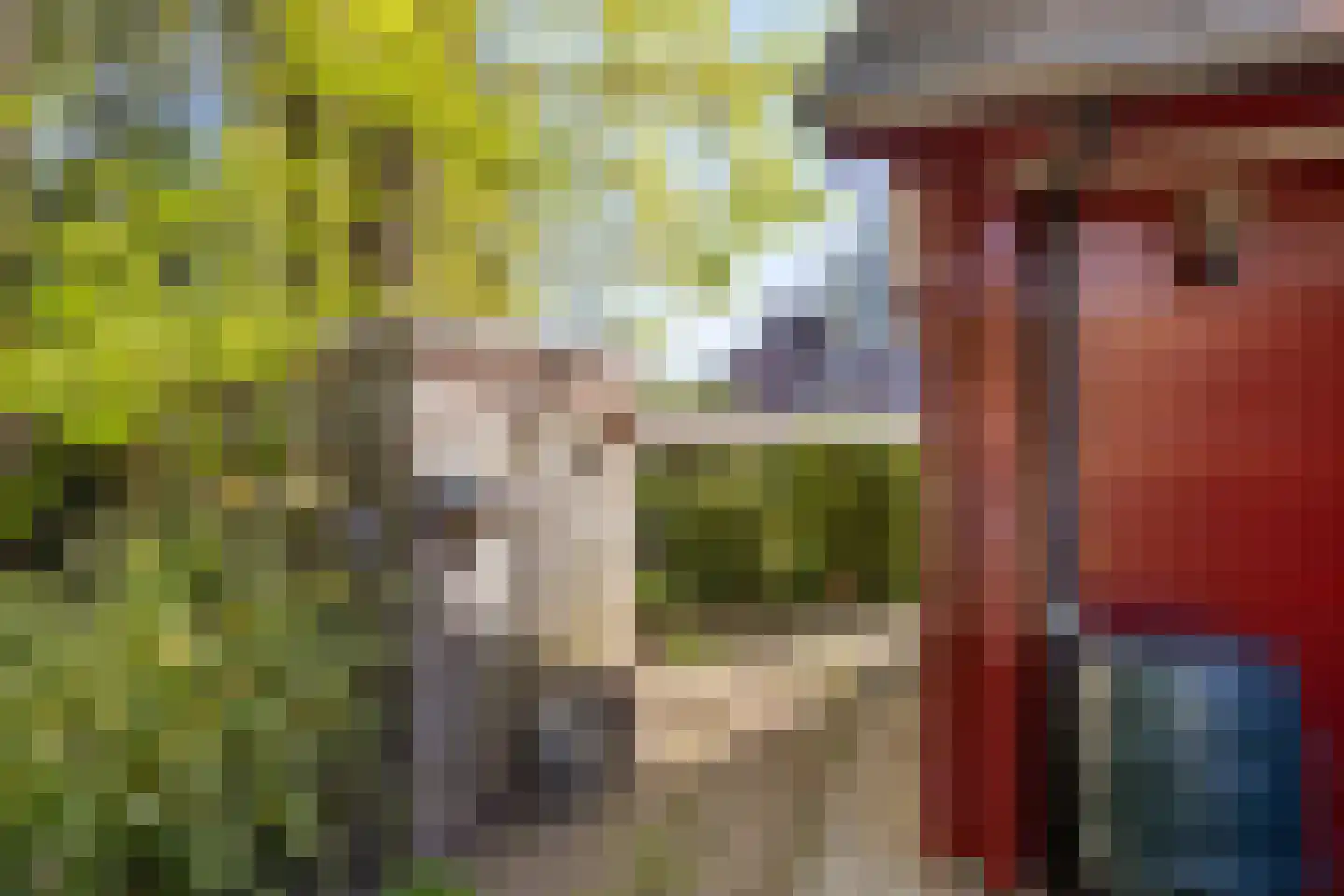 Bosweg 14 Barchem thumbnail 44