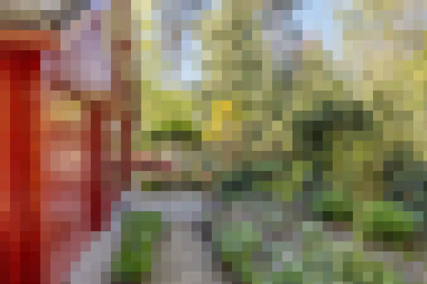 Bosweg 14 Barchem thumbnail 45