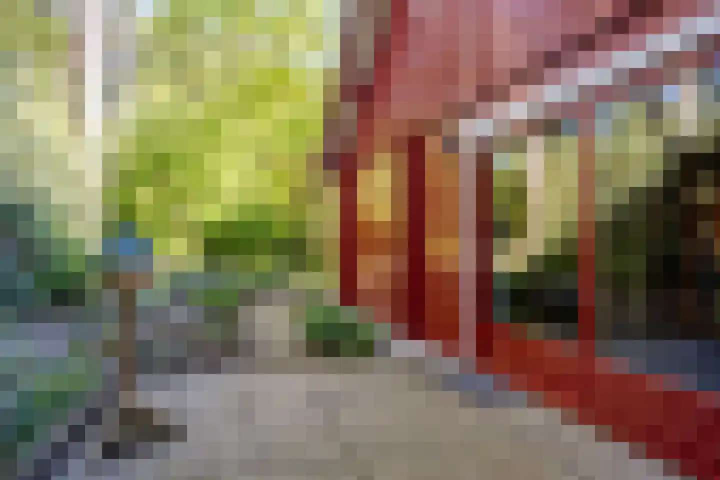 Bosweg 14 Barchem thumbnail 46