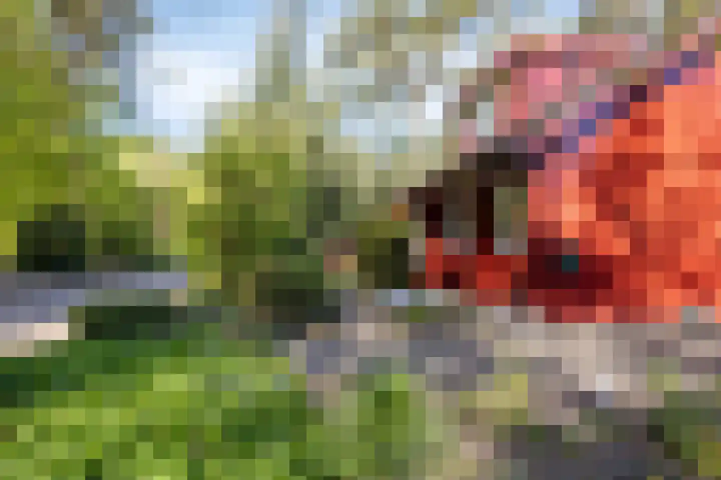 Bosweg 14 Barchem thumbnail 48