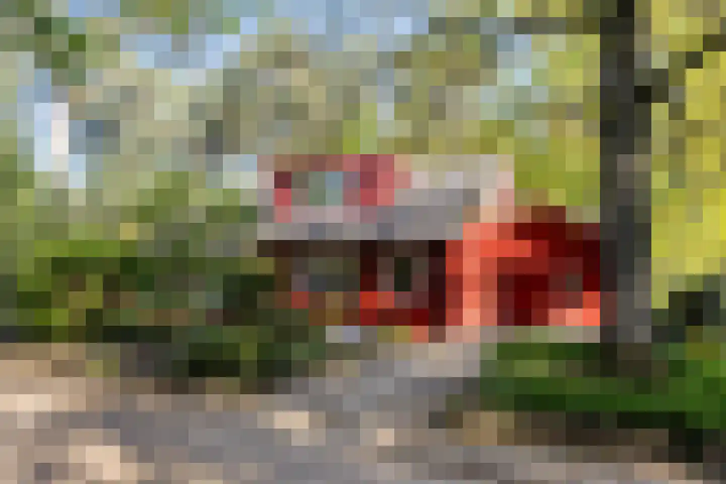 Bosweg 14 Barchem thumbnail 49
