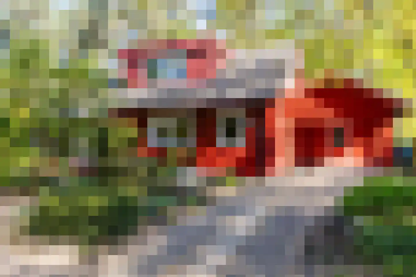 Bosweg 14 Barchem thumbnail 5