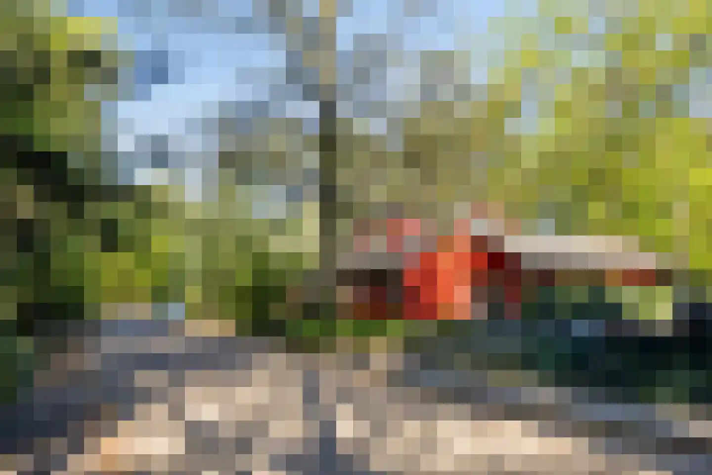 Bosweg 14 Barchem thumbnail 50