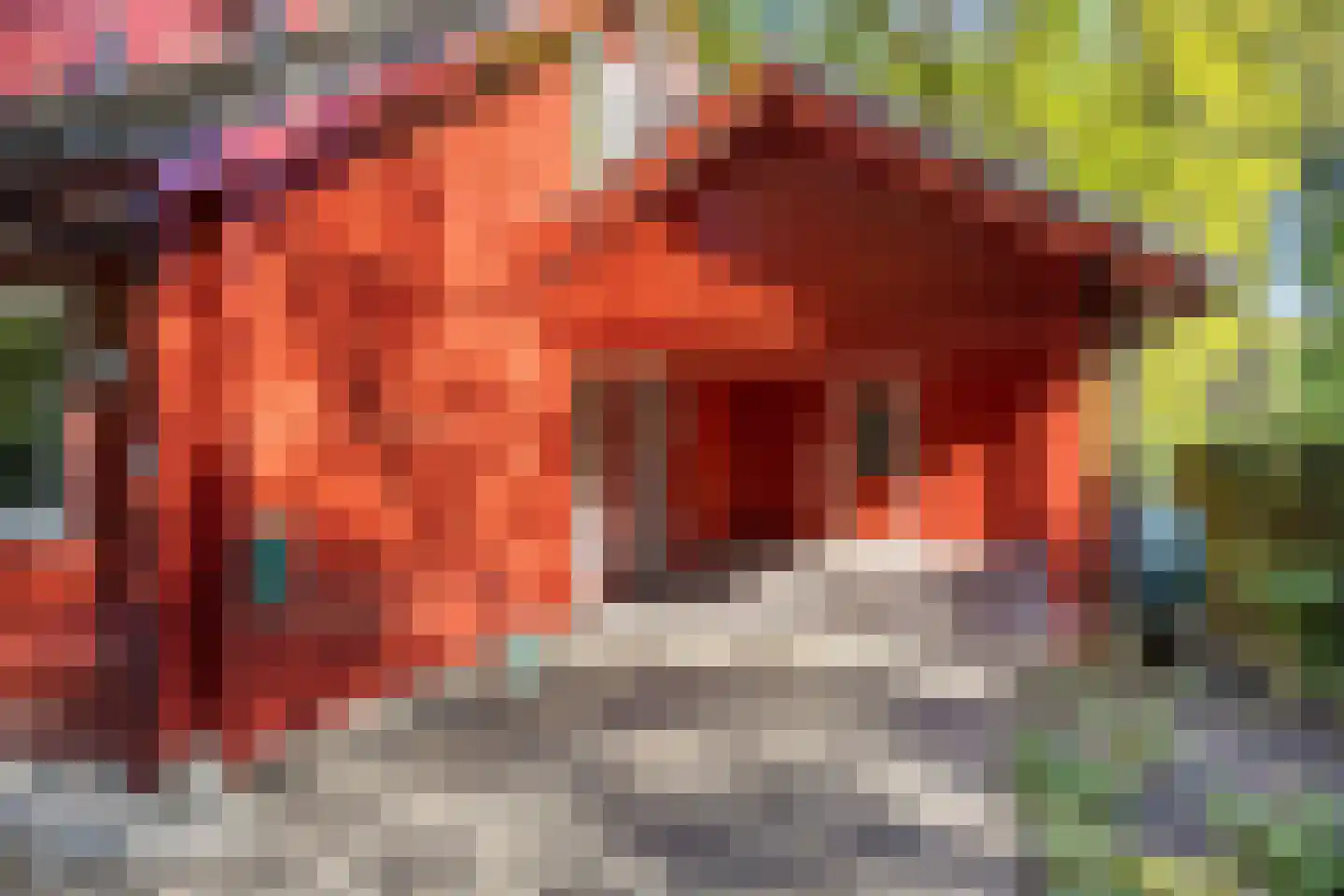 Bosweg 14 Barchem thumbnail 6