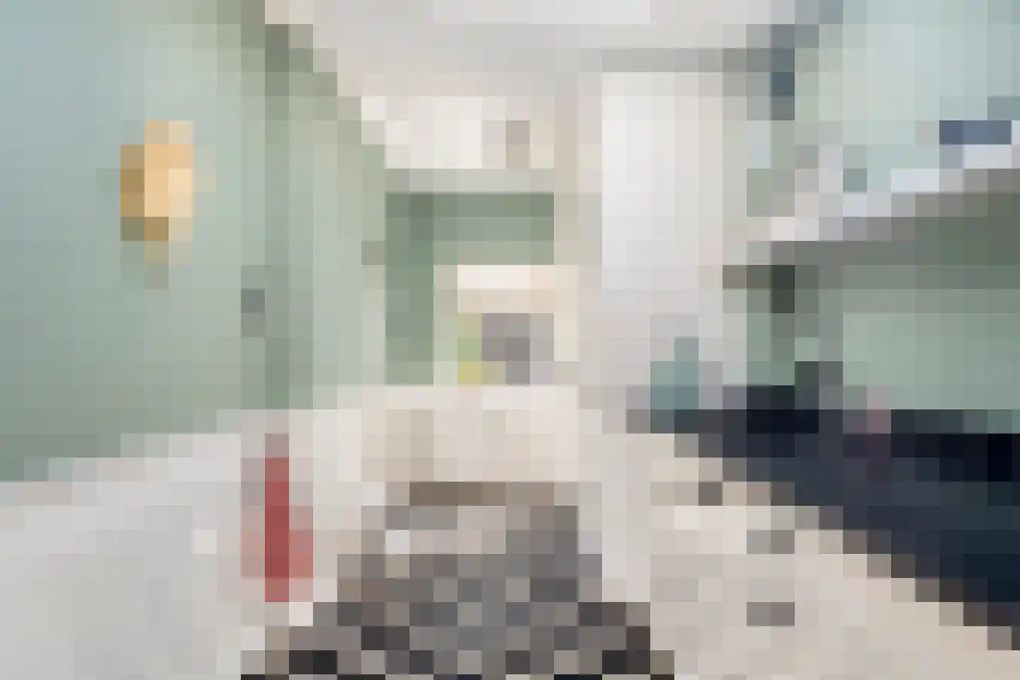Bosweg 14 Nunspeet thumbnail 25