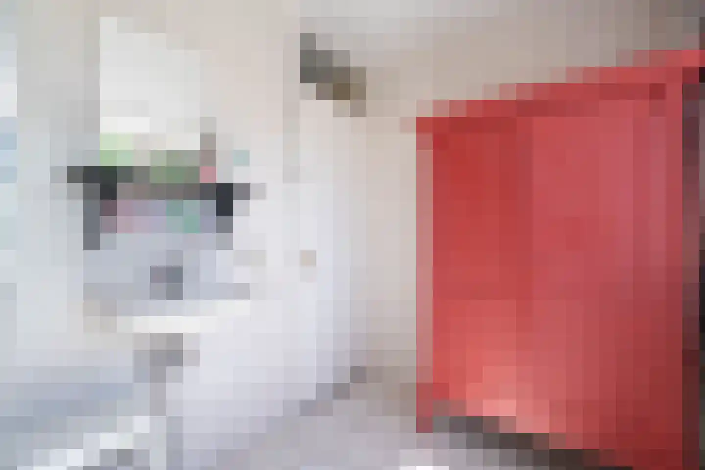 Bosweg 14 Nunspeet thumbnail 37