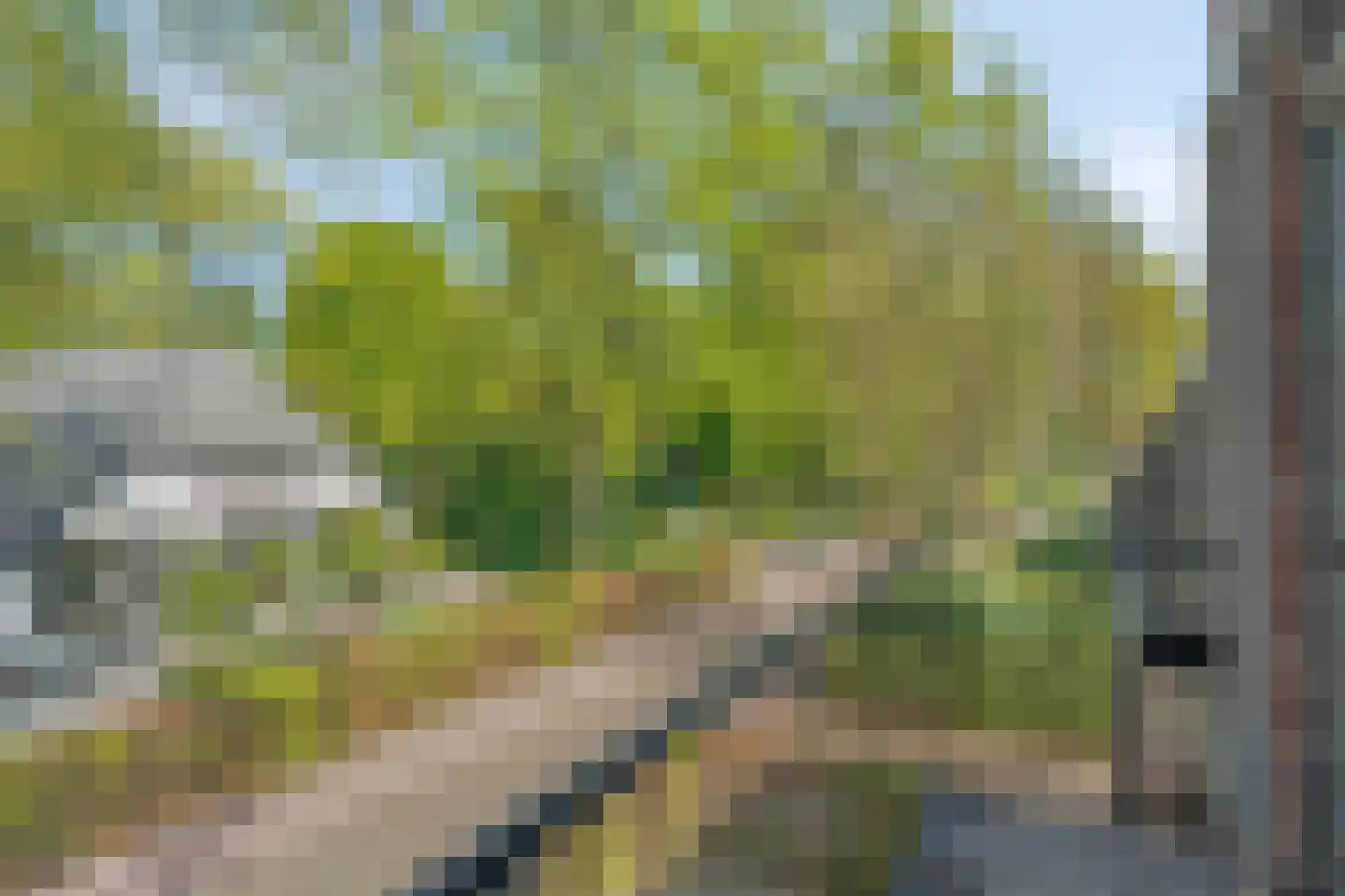 Bosweg 14 Nunspeet thumbnail 38