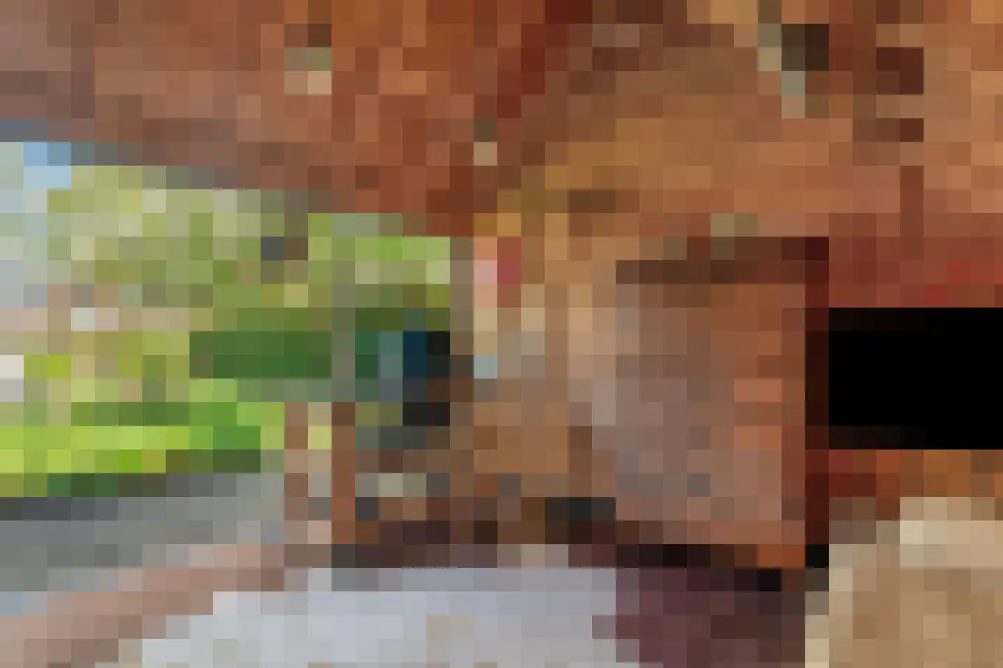 Bosweg 14 Nunspeet thumbnail 39