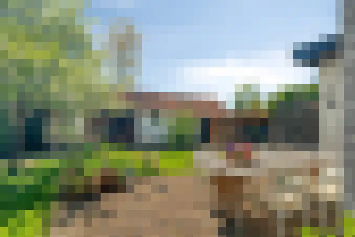 Bosweg 14 Nunspeet thumbnail 4