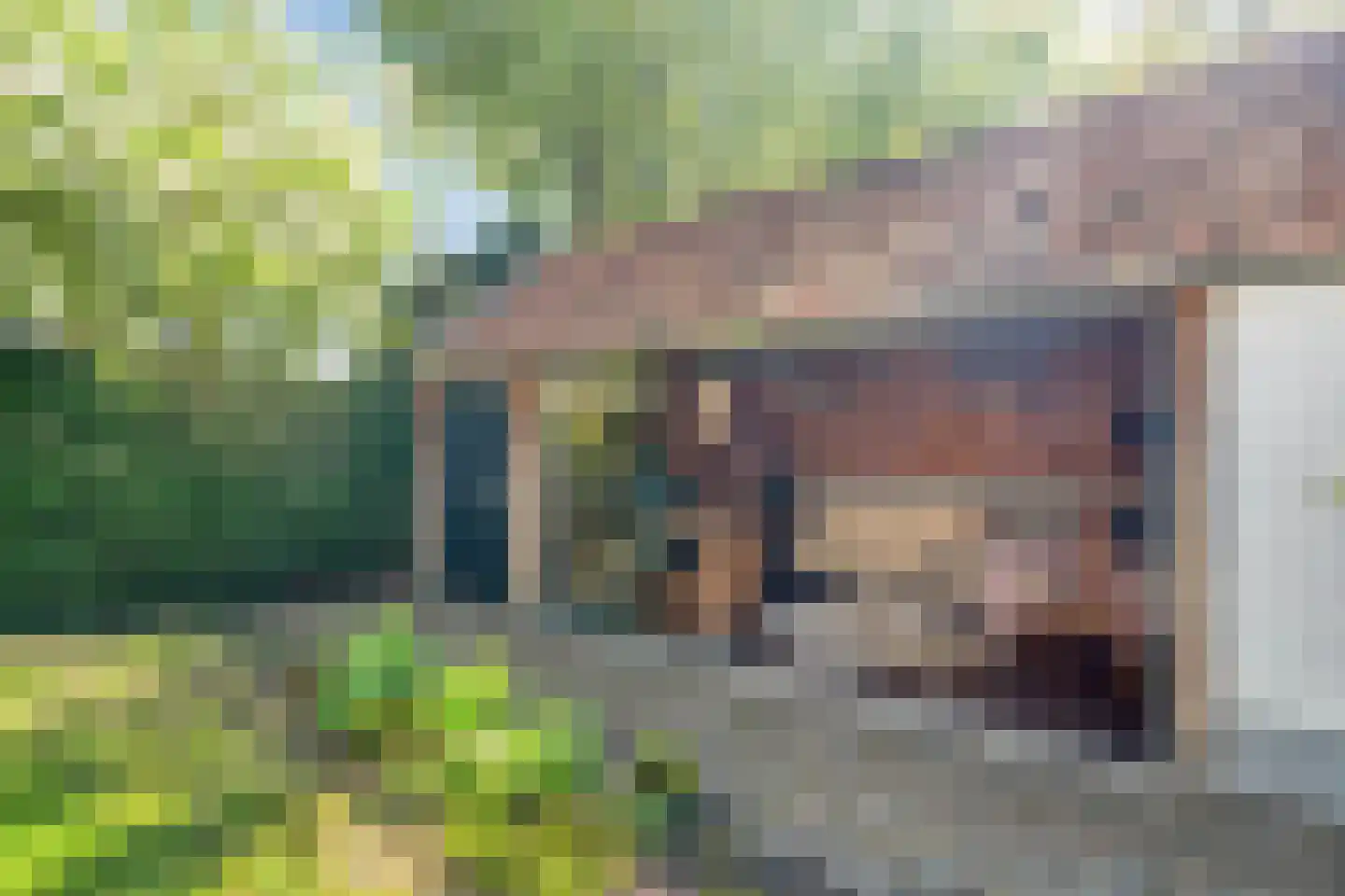 Bosweg 14 Nunspeet thumbnail 41