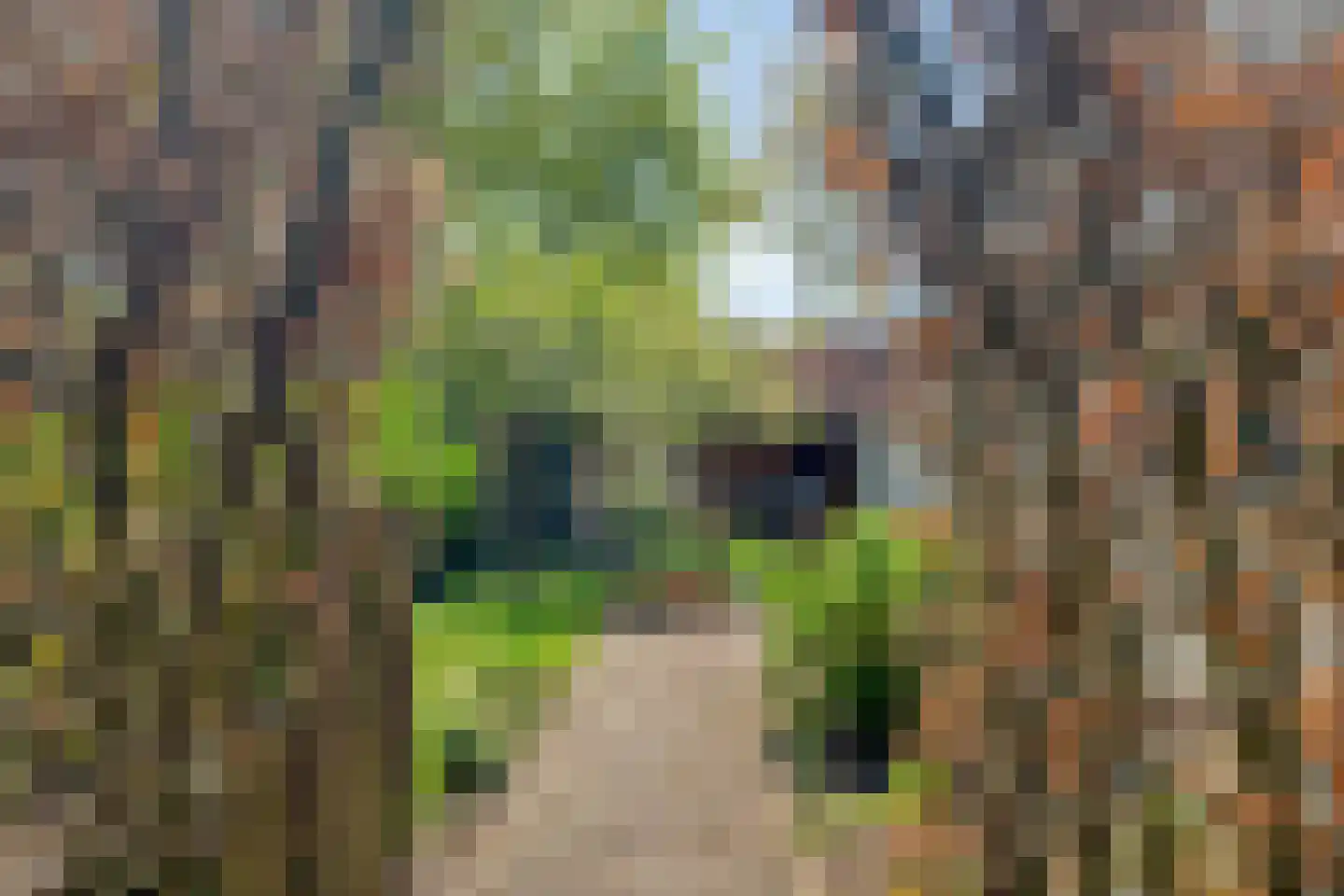 Bosweg 14 Nunspeet thumbnail 51