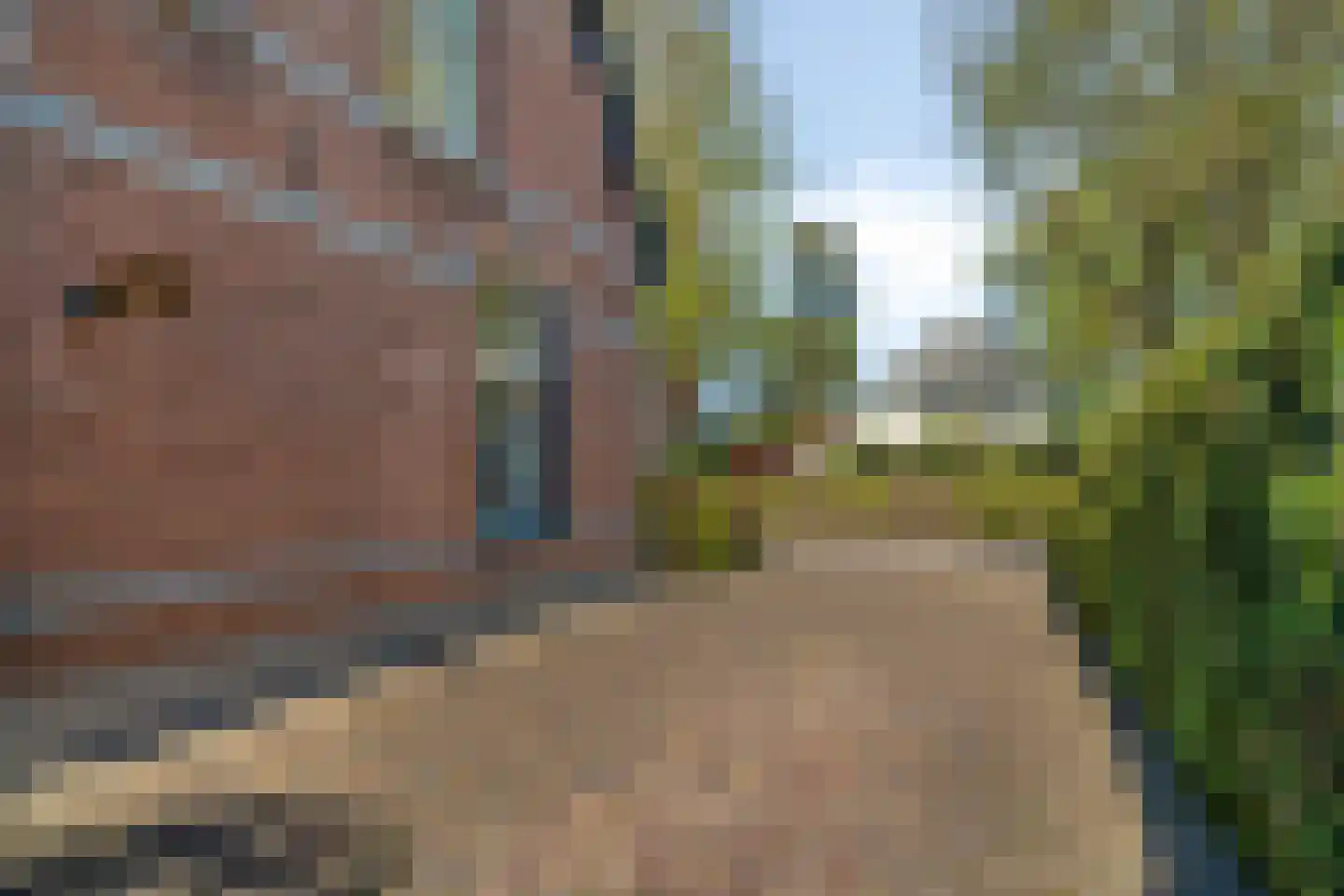 Bosweg 14 Nunspeet thumbnail 52