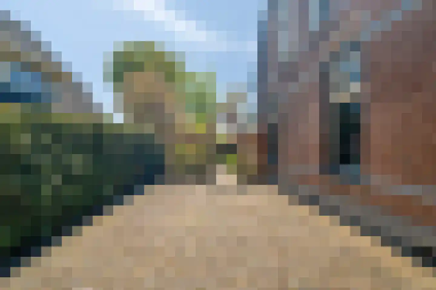 Bosweg 14 Nunspeet thumbnail 53