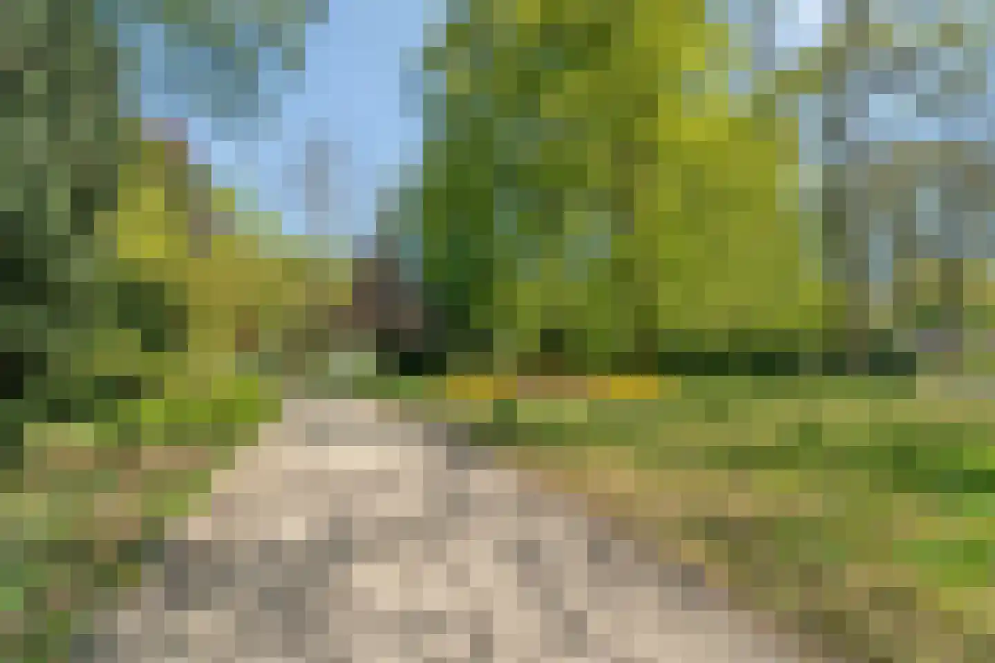 Bosweg 14 Nunspeet thumbnail 55