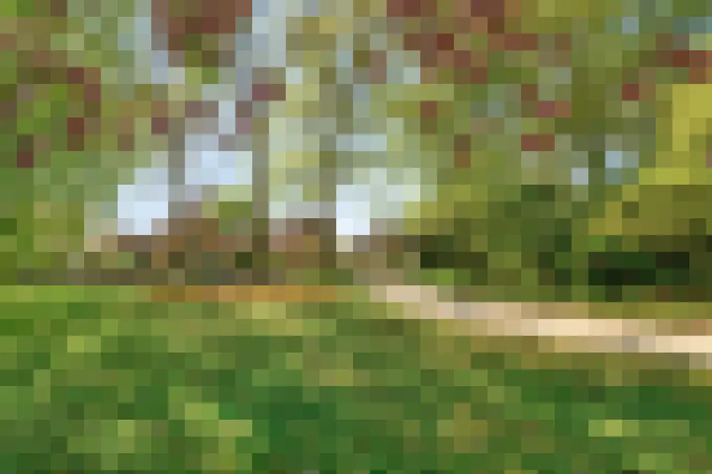 Bosweg 14 Nunspeet thumbnail 56