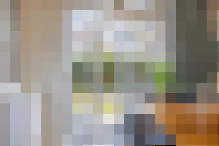 Bosweg 15 Amersfoort thumbnail 15