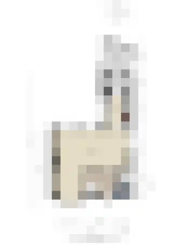 Bosweg 15 Amersfoort thumbnail 20