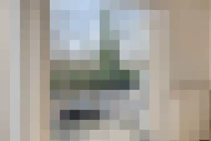 Bosweg 15 Amersfoort thumbnail 30