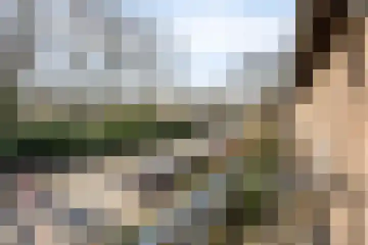 Bosweg 15 Amersfoort thumbnail 31