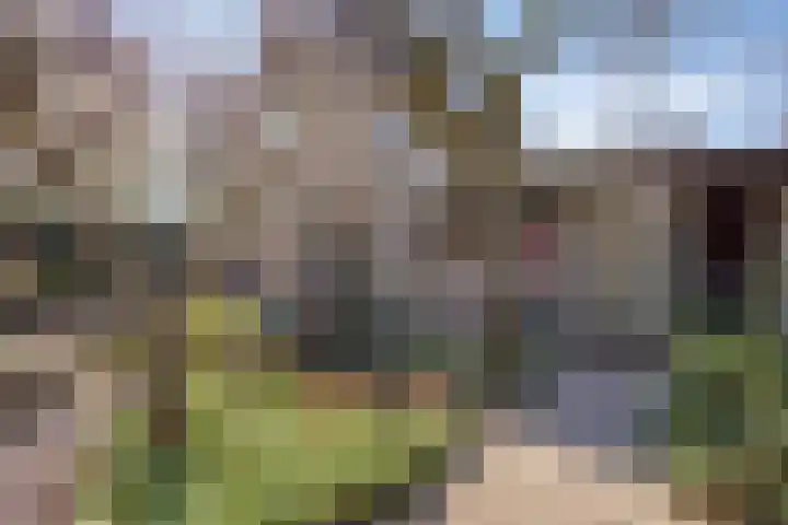 Bosweg 15 Amersfoort thumbnail 4