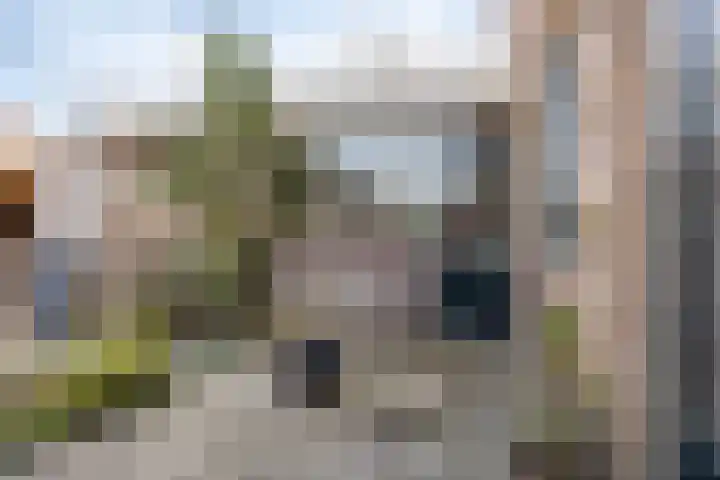 Bosweg 15 Amersfoort thumbnail 42