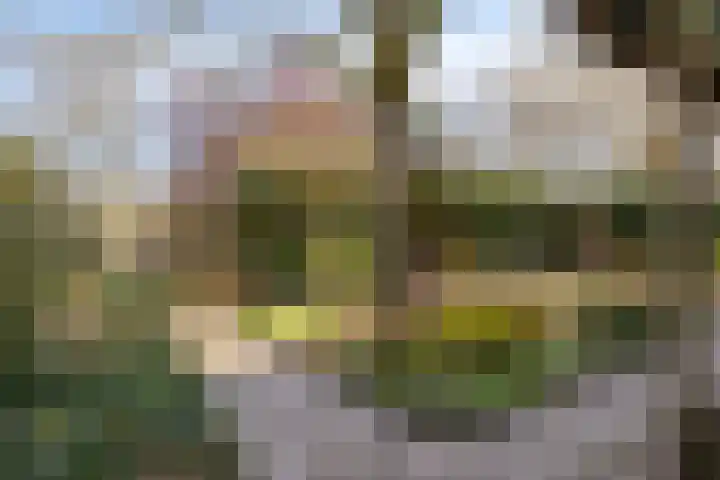 Bosweg 15 Amersfoort thumbnail 45
