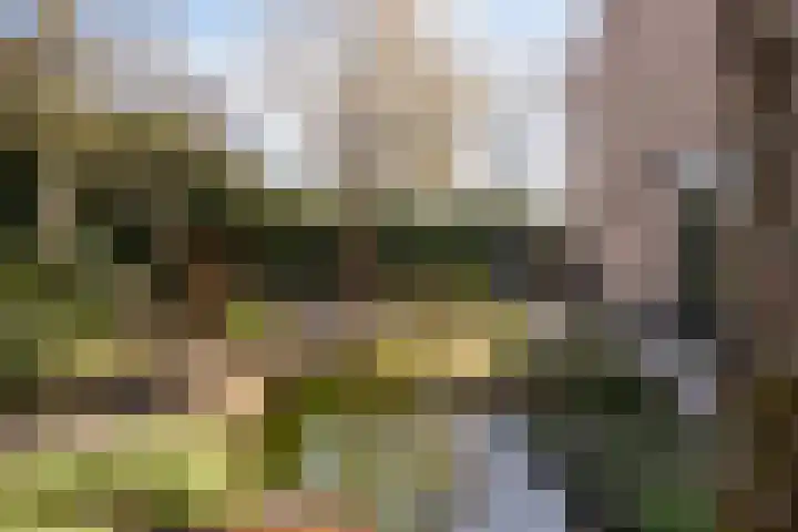 Bosweg 15 Amersfoort thumbnail 46