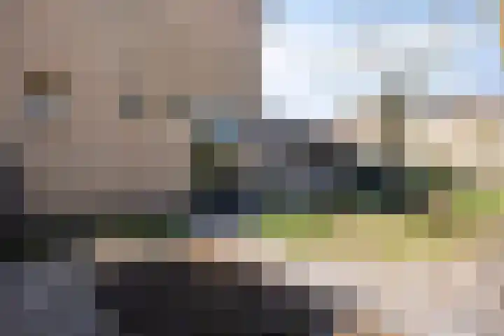 Bosweg 15 Amersfoort thumbnail 49