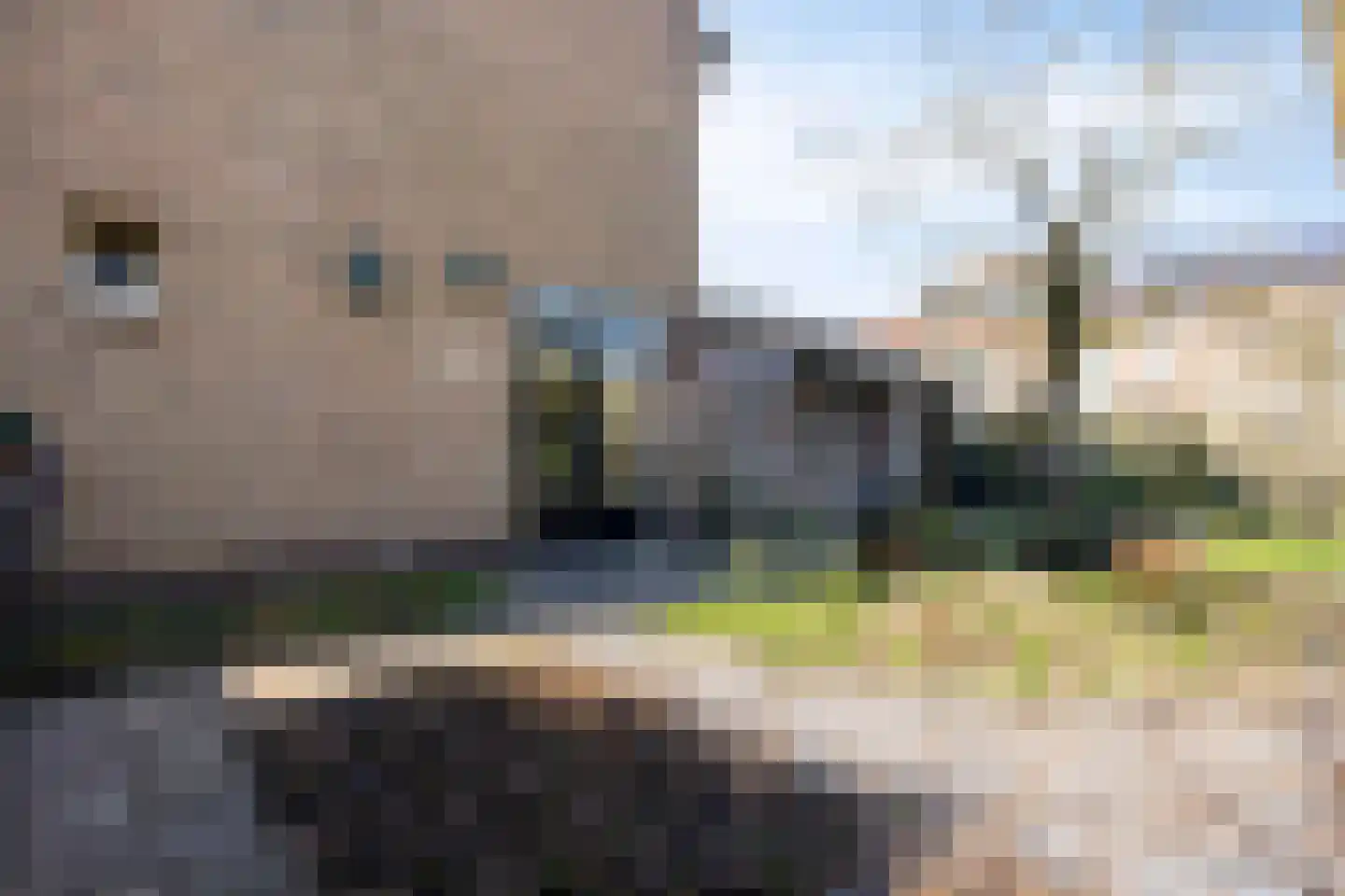 Bosweg 15 Amersfoort thumbnail 49
