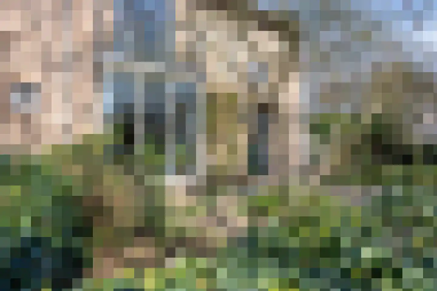 Bosweg 15 Amersfoort thumbnail 5